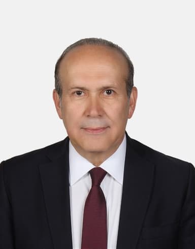 Namık Tan