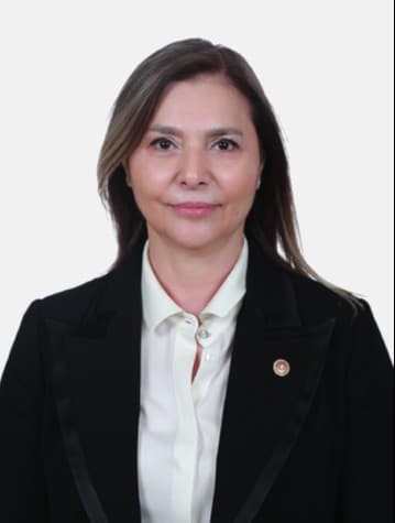 Ayşe Sibel Ersoy